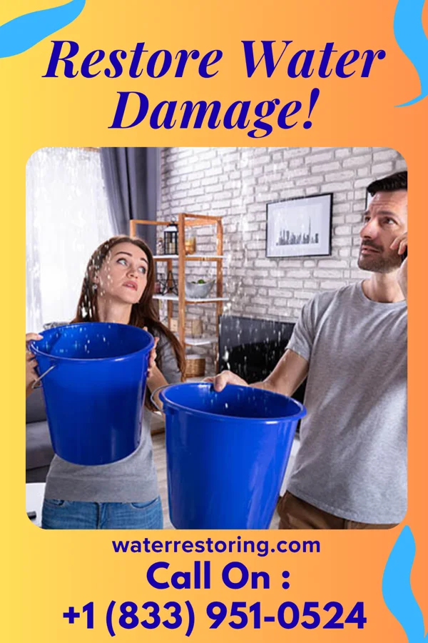 water restoration Trusted Sewage Cleanup Partners Rake