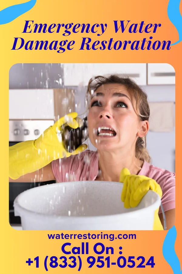 Emergency Water Damage Restoration in Rake, IA