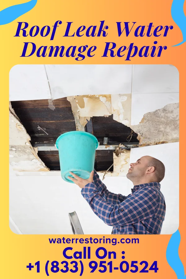 Roof Leak Water Damage Repair in Rake, IA