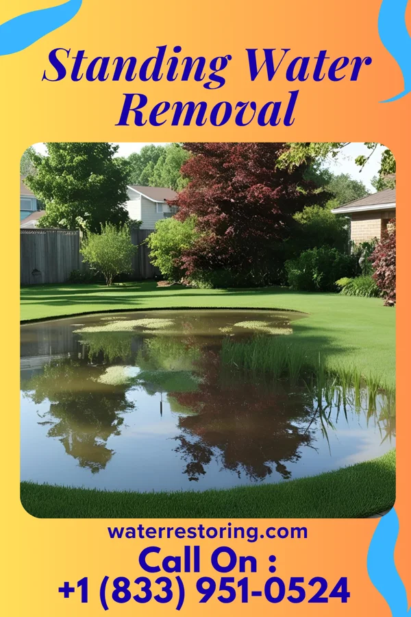 Standing Water Removal in Rake, IA